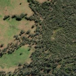 Satellite imagery of Mount Welaregang, AU