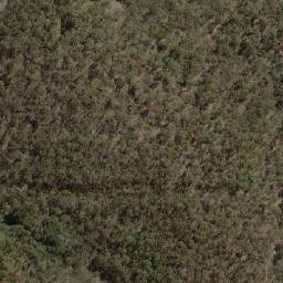 Satellite imagery of Wallgrove, AU