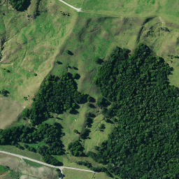Satellite imagery of ONEWA, NZ