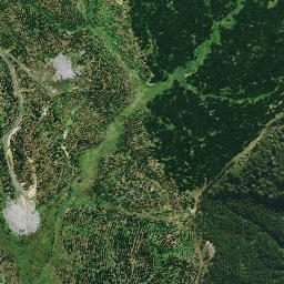 Satellite imagery of PAIAWA, NZ