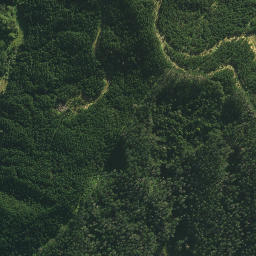 Satellite imagery of PAIAWA, NZ