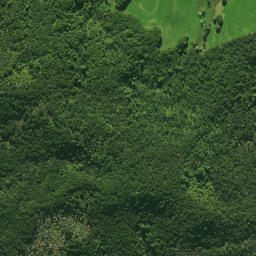 Satellite imagery of E (Waipu SD), NZ