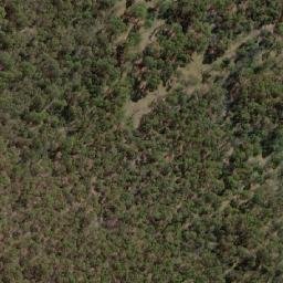Satellite imagery of Wallgrove, AU