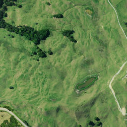 Satellite imagery of ONEWA, NZ