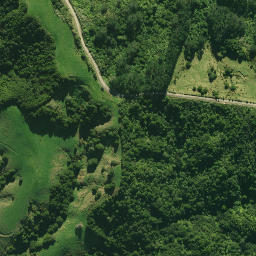 Satellite imagery of TAIPUHA, NZ