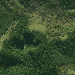 Satellite imagery of E (Waipu SD), NZ