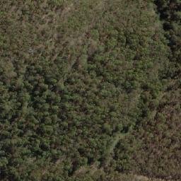Satellite imagery of Wallgrove, AU