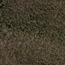 Satellite imagery of Wallgrove, AU