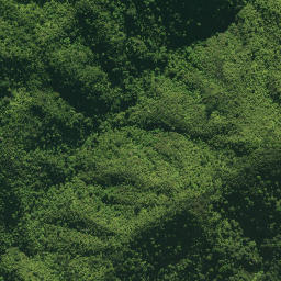 Satellite imagery of TAIPUHA, NZ