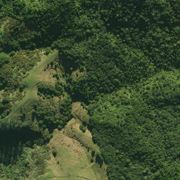Satellite imagery of TAIPUHA, NZ