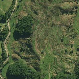 Satellite imagery of ARARUA, NZ
