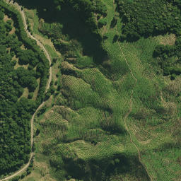 Satellite imagery of ARARUA, NZ