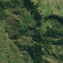 Satellite imagery of ARARUA, NZ