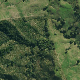 Satellite imagery of ARARUA, NZ