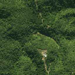 Satellite imagery of 1361, NZ