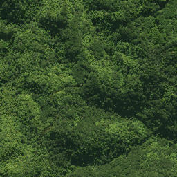 Satellite imagery of 1361, NZ