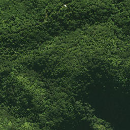 Satellite imagery of 1361, NZ
