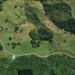Satellite imagery of ARARUA, NZ
