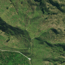 Satellite imagery of ARARUA, NZ