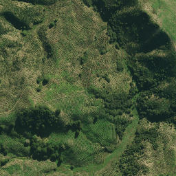 Satellite imagery of ARARUA, NZ