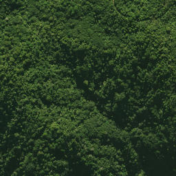 Satellite imagery of 1361, NZ