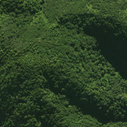 Satellite imagery of 1361, NZ