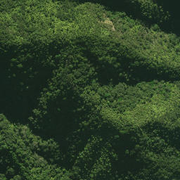 Satellite imagery of 1361, NZ
