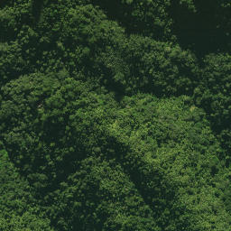 Satellite imagery of 1361, NZ