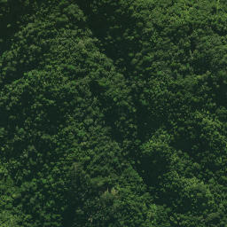 Satellite imagery of 1361, NZ