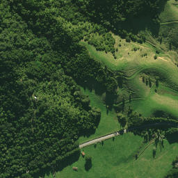 Satellite imagery of 1361, NZ