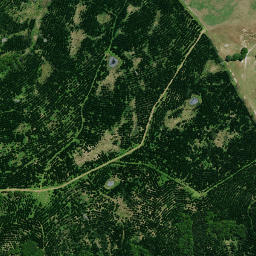 Satellite imagery of 744 KAURI HILL, NZ
