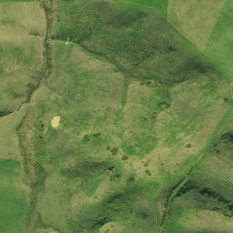 Satellite imagery of F (Waipu SD), NZ