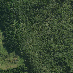 Satellite imagery of 58 PUKEKOHE, NZ