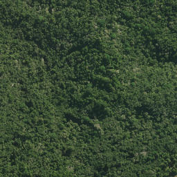 Satellite imagery of 58 PUKEKOHE, NZ
