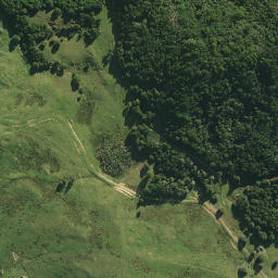 Satellite imagery of 58 PUKEKOHE, NZ