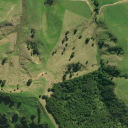 Satellite imagery of 1360, NZ