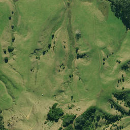 Satellite imagery of 1360, NZ