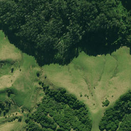 Satellite imagery of 1360, NZ