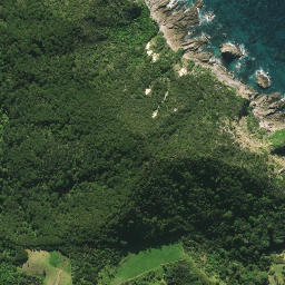Satellite imagery of Bream Tail, NZ
