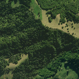 Satellite imagery of 1360, NZ