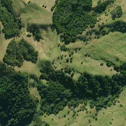 Satellite imagery of 1360, NZ