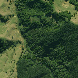 Satellite imagery of 1360, NZ