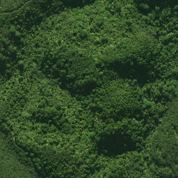 Satellite imagery of 1580 NO 2, NZ