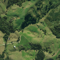 Satellite imagery of 1360, NZ