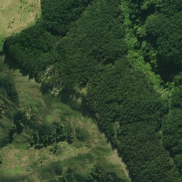 Satellite imagery of 1360, NZ