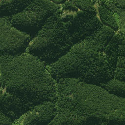 Satellite imagery of 1580 NO 2, NZ
