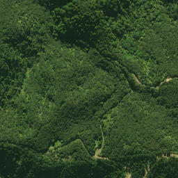 Satellite imagery of 1580 NO 2, NZ