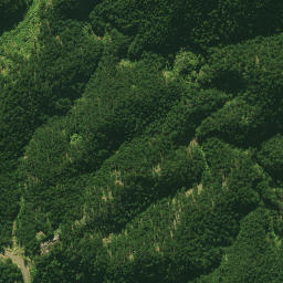 Satellite imagery of 1580 NO 2, NZ
