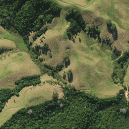 Satellite imagery of 2831, NZ