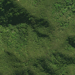 Satellite imagery of H NO 2, NZ